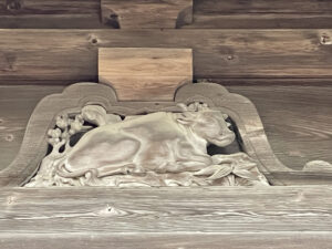 松島五大堂の牛