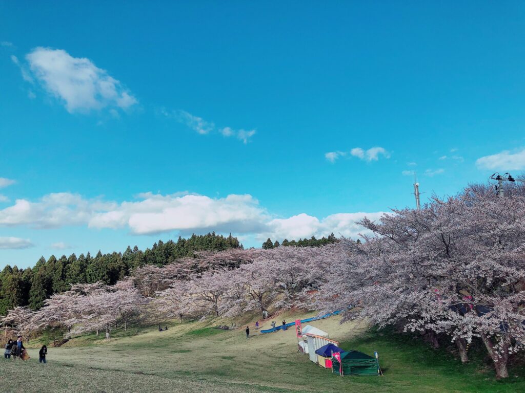 宮城県大崎市田尻の加護坊山の山頂