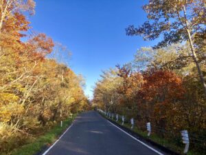 宮城県栗駒山の紅葉